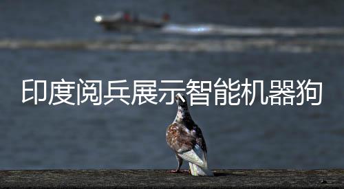 印度閱兵展示智能機(jī)器狗，人手一個(gè)遙控器，科技力量矚目顯現(xiàn)