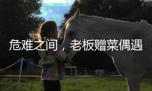 危難之間，老板贈菜偶遇救命恩人，善緣綿延人間真情
