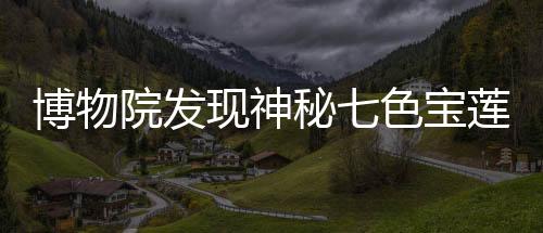 博物院發(fā)現(xiàn)神秘七色寶蓮，揭示千年文化寶藏的奇跡之旅