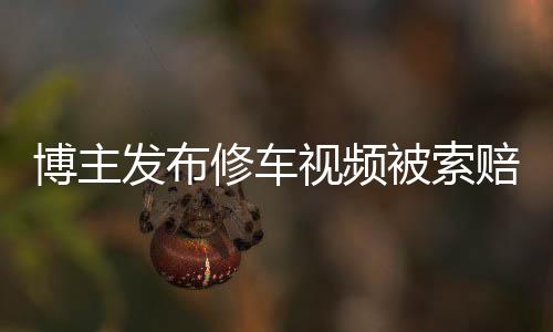 博主發(fā)布修車視頻被索賠700萬(wàn)