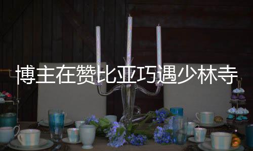 博主在贊比亞巧遇少林寺——跨文化交流見證武術(shù)魅力