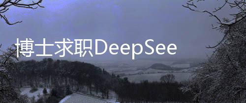 博士求職DeepSeek面試經(jīng)歷，面試官連問3小時，深度探討專業(yè)領(lǐng)域