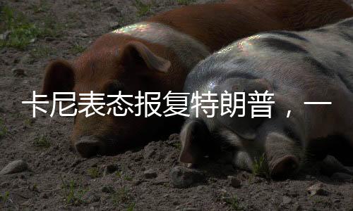 卡尼表態(tài)報(bào)復(fù)特朗普，一場(chǎng)政治風(fēng)暴的掀起