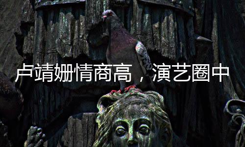 盧靖姍情商高，演藝圈中的佼佼者