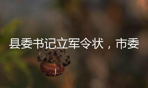 縣委書記立軍令狀，市委書記全市播放，一線領(lǐng)導(dǎo)力與決心的展現(xiàn)