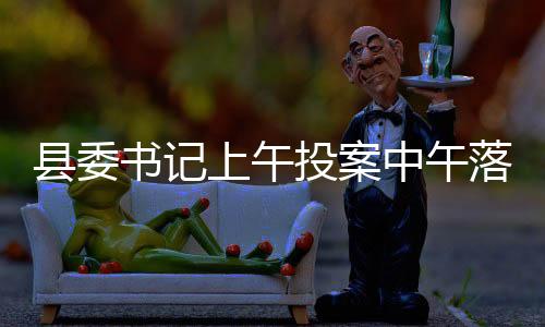 縣委書記上午投案中午落馬，反腐行動再顯成效