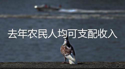 去年農(nóng)民人均可支配收入達23119元，鄉(xiāng)村振興的十大亮點