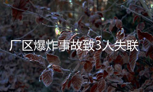 廠區(qū)爆炸事故致3人失聯(lián)，4人受傷