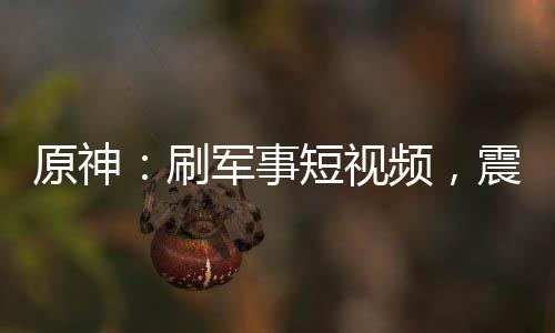 原神：刷軍事短視頻，震驚提瓦特