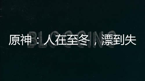 原神：人在至冬，漂到失聯(lián)！