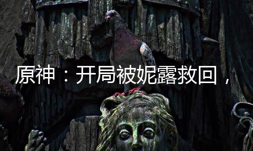 原神：開局被妮露救回，天賦投影