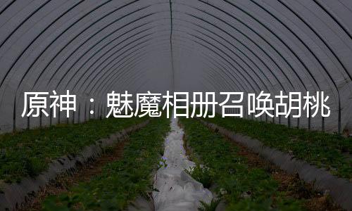 原神：魅魔相冊(cè)召喚胡桃芙寧娜