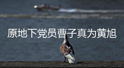原地下黨員曹子真為黃旭華送上挽聯(lián)——一位老黨員的深情緬懷