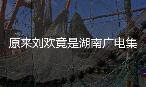 原來劉歡竟是湖南廣電集團的一位家屬，深度探究其背后的故事