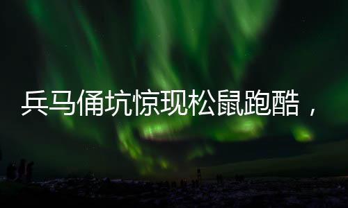 兵馬俑坑驚現(xiàn)松鼠跑酷，神秘現(xiàn)象引發(fā)廣泛關(guān)注