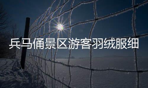兵馬俑景區(qū)游客羽絨服細(xì)節(jié)觀察，寒冬中的暖心故事