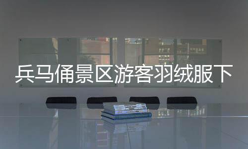 兵馬俑景區(qū)游客羽絨服下的繁忙冬季，擠出的絨毛見證溫暖之旅