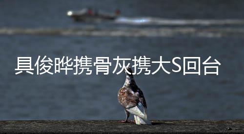 具俊曄攜骨灰攜大S回臺(tái)灣，一段深情緬懷的旅程