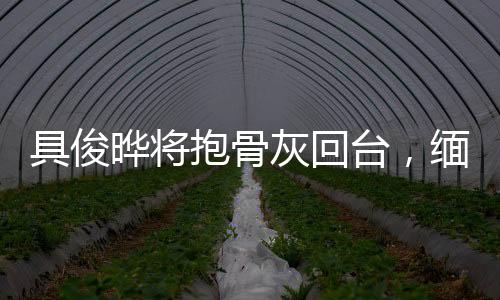 具俊曄將抱骨灰回臺，緬懷亡妻，跨越萬里的情感寄托