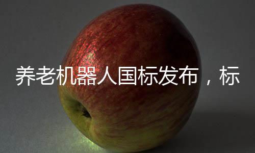 養(yǎng)老機(jī)器人國(guó)標(biāo)發(fā)布，標(biāo)準(zhǔn)化推動(dòng)養(yǎng)老科技新紀(jì)元