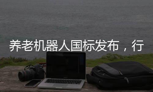 養(yǎng)老機(jī)器人國(guó)標(biāo)發(fā)布，行業(yè)迎來(lái)規(guī)范化發(fā)展新篇章
