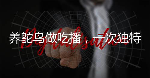 養(yǎng)鴕鳥做吃播，一次獨(dú)特的探索之旅
