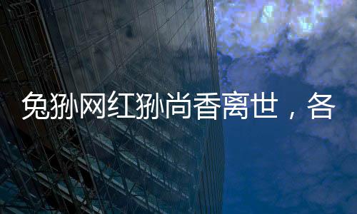兔猻網紅猻尚香離世，各界緬懷與紀念動物明星的生命旅程