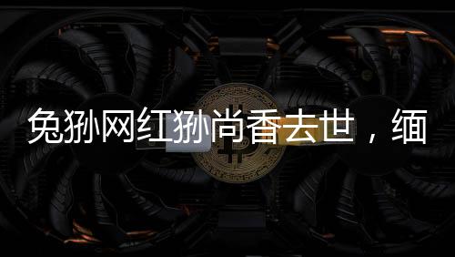 兔猻網(wǎng)紅猻尚香去世，緬懷一只傳奇的生靈