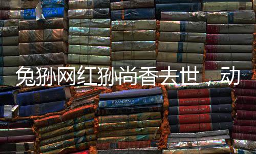 兔猻網(wǎng)紅猻尚香去世，動物界的明星隕落，引發(fā)網(wǎng)友無盡哀思