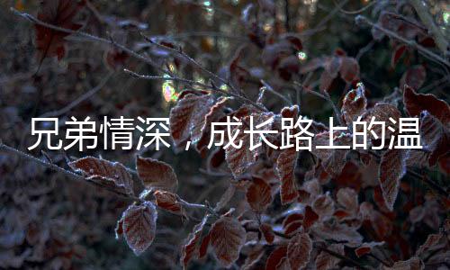 兄弟情深，成長路上的溫情故事——弟弟被姐姐們聯(lián)手制服的那些事