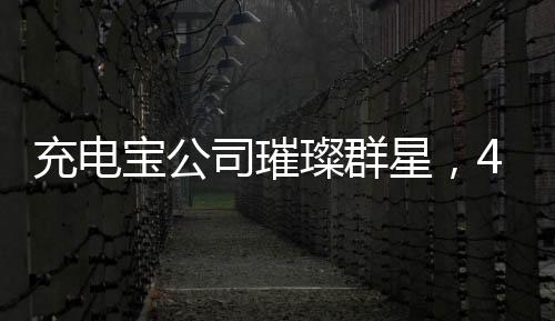充電寶公司璀璨群星，494名員工年入超百萬(wàn)，共創(chuàng)輝煌