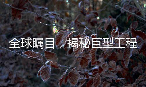 全球矚目，揭秘巨型工程背后的故事——這就是我兒子打造的世界級(jí)奇跡