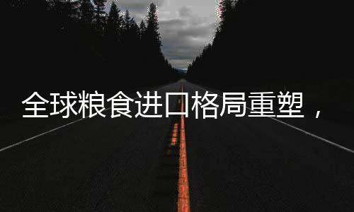全球糧食進口格局重塑，重心轉(zhuǎn)向南美，趨勢與挑戰(zhàn)分析