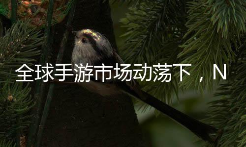 全球手游市場動蕩下，NO.1手游公司自救成功的奇跡篇章