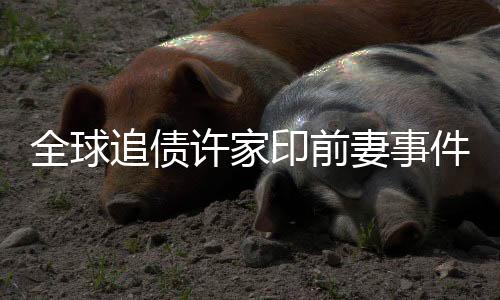全球追債許家印前妻事件曝光