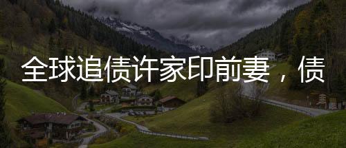 全球追債許家印前妻，債務(wù)糾紛背后的復(fù)雜故事