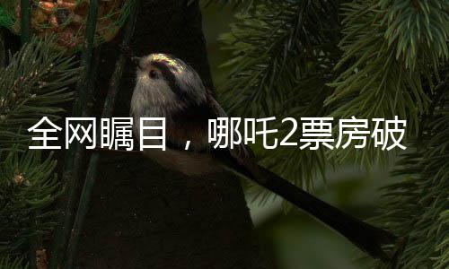 全網(wǎng)矚目，哪吒2票房破百億，引領新一輪觀影熱潮