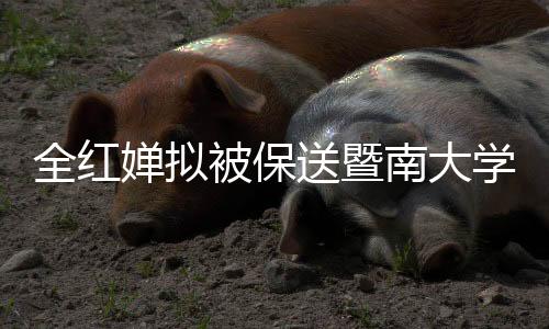 全紅嬋擬被保送暨南大學(xué)，奧運(yùn)冠軍的學(xué)府之路