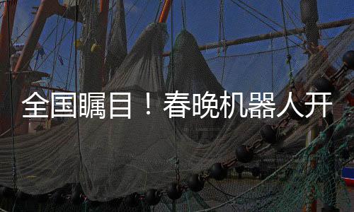 全國矚目！春晚機器人開啟全新打工時代