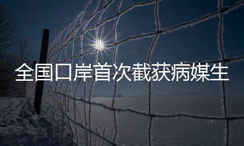 全國(guó)口岸首次截獲病媒生物印度翠蠅，強(qiáng)化防疫防線的新挑戰(zhàn)
