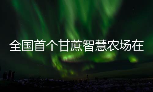 全國首個甘蔗智慧農(nóng)場在廣西崇左建成