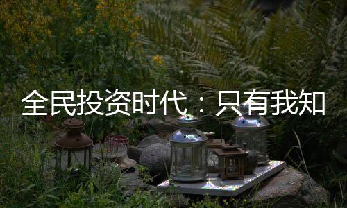 全民投資時(shí)代：只有我知道主角