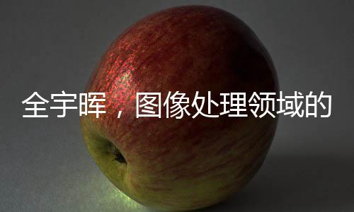 全宇暉，圖像處理領(lǐng)域的耀眼之星黯然隕落