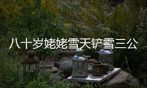 八十歲姥姥雪天鏟雪三公里，暖心接女孩歸途