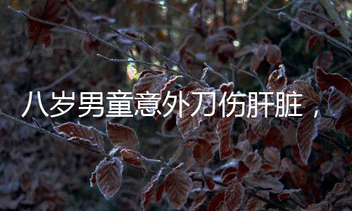 八歲男童意外刀傷肝臟，緊急手術(shù)成功挽救生命