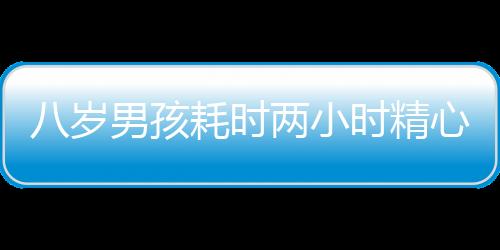 八歲男孩耗時兩小時精心選購臘梅，為母親送上溫馨驚喜
