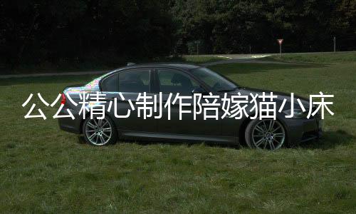 公公精心制作陪嫁貓小床，一份溫馨的愛與陪伴