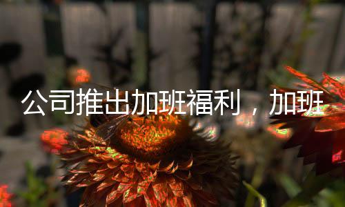 公司推出加班福利，加班十晚可繳納社會(huì)保險(xiǎn)個(gè)人部分，員工反響不一