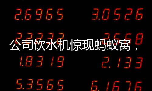 公司飲水機(jī)驚現(xiàn)螞蟻窩，衛(wèi)生狀況亟待改善