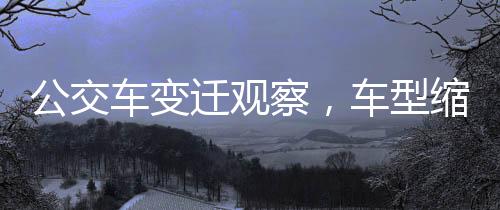 公交車變遷觀察，車型縮小背后的原因與影響分析